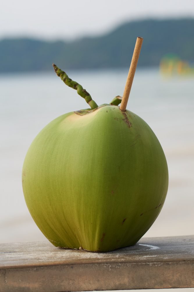Bamboo Step bamboo straw in a coconut